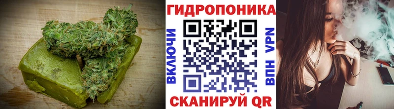 Canna-Cookies марихуана  Жуковка 