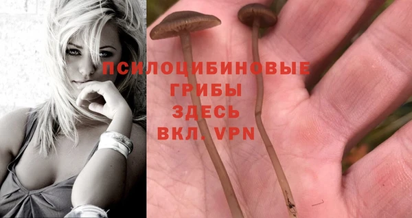 синтетический гашиш Вязьма